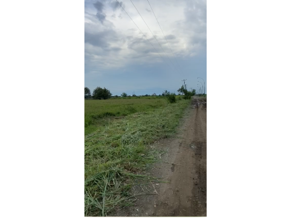 LOTE EN NAVARRO DIAGONAL CLUB CAÑASGORDAS 200,000 m2.