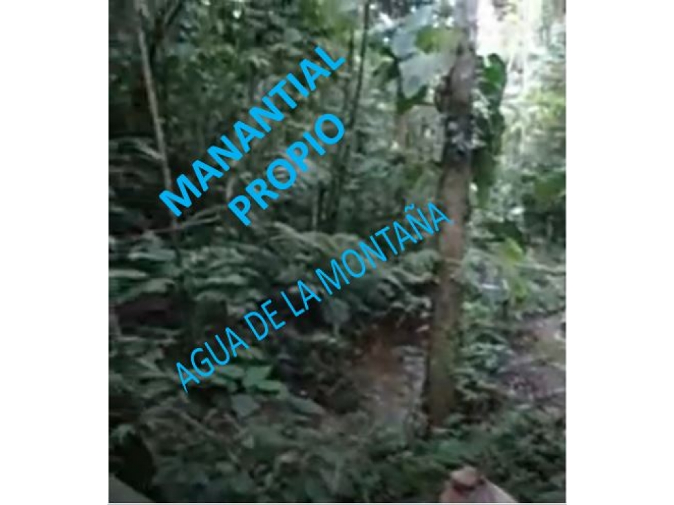 DAPA ALTO DAPA FINCA EN DAPA CON BOSQUE RESERVA NATURAL Y AGUA — foto 3