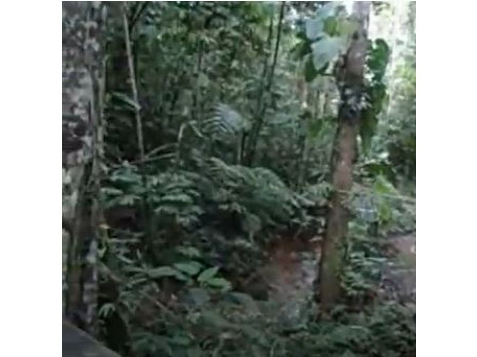 DAPA ALTO DAPA FINCA EN DAPA CON BOSQUE RESERVA NATURAL Y AGUA — foto 4