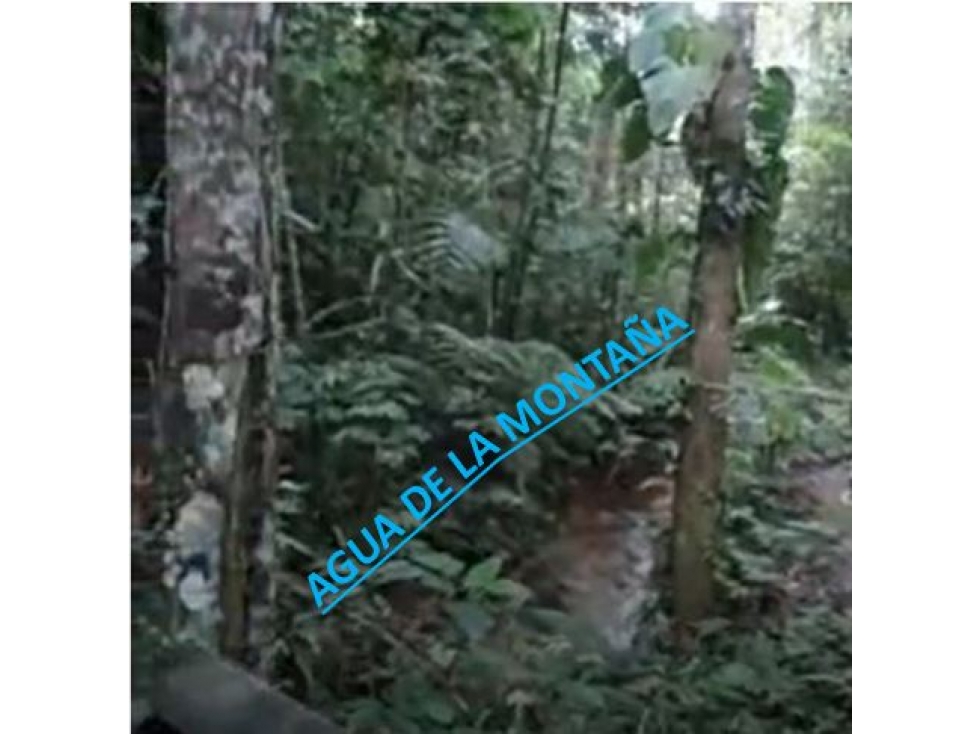 DAPA ALTO DAPA FINCA EN DAPA CON BOSQUE RESERVA NATURAL Y AGUA — foto 5