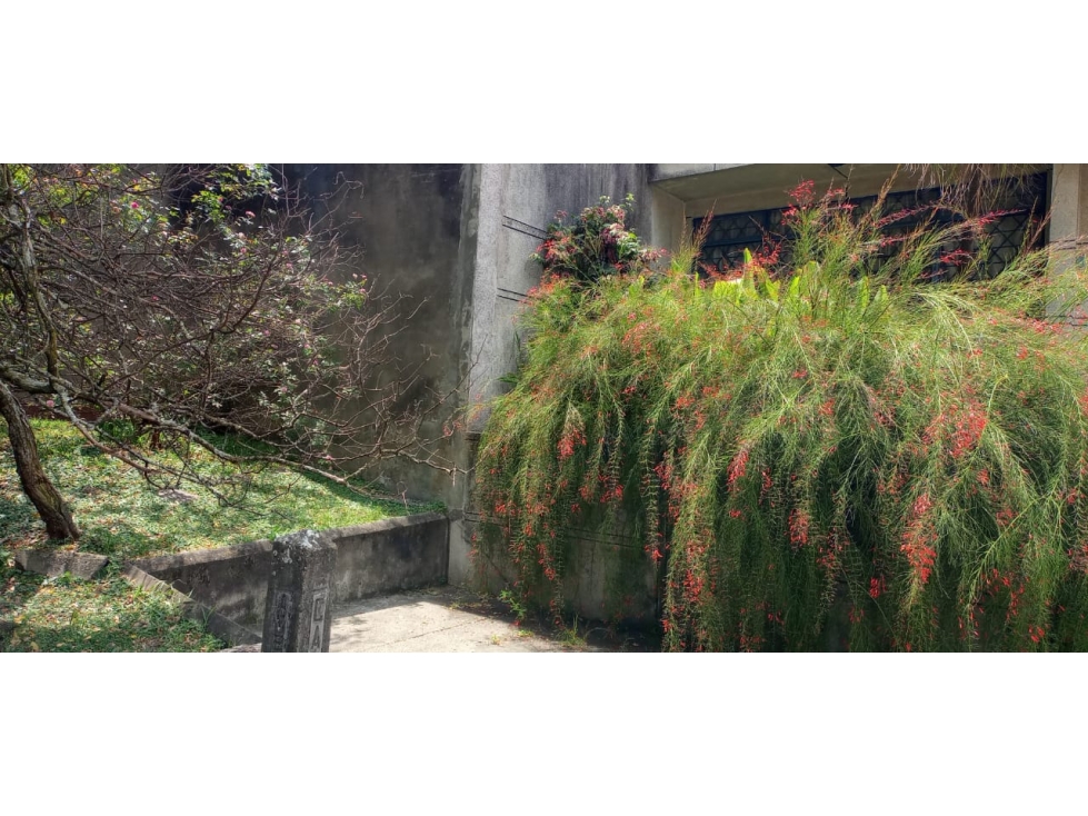 BOSQUE CASA EN UN LUGAR TRANQUILO SIN TRAFICO AL LADO DE PARQUE NORTE — foto 2