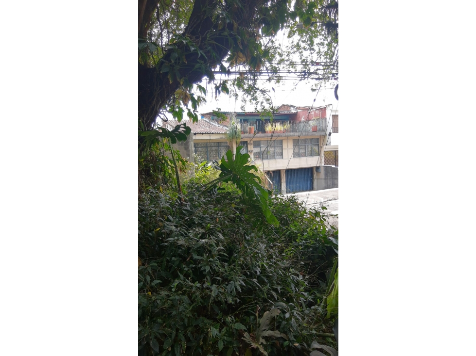BOSQUE CASA EN UN LUGAR TRANQUILO SIN TRAFICO AL LADO DE PARQUE NORTE — foto 6