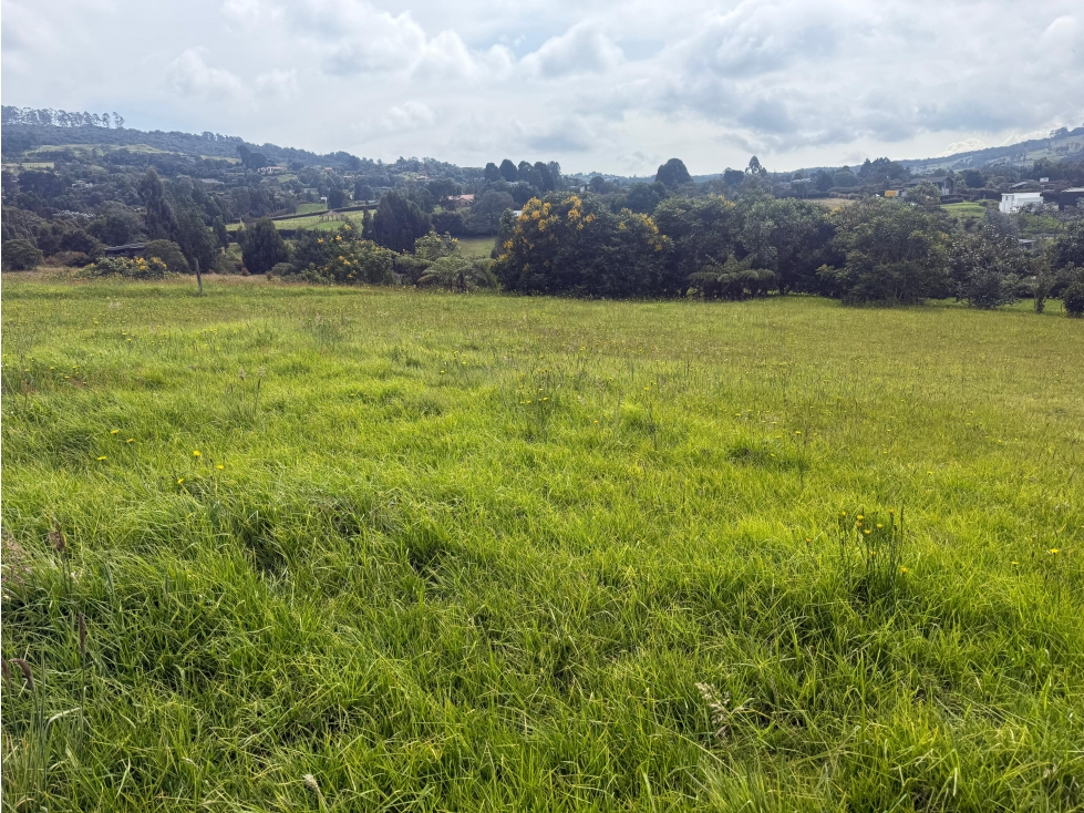 Venta de lote en Alto de las Palmas, sector Acuarela — foto 5