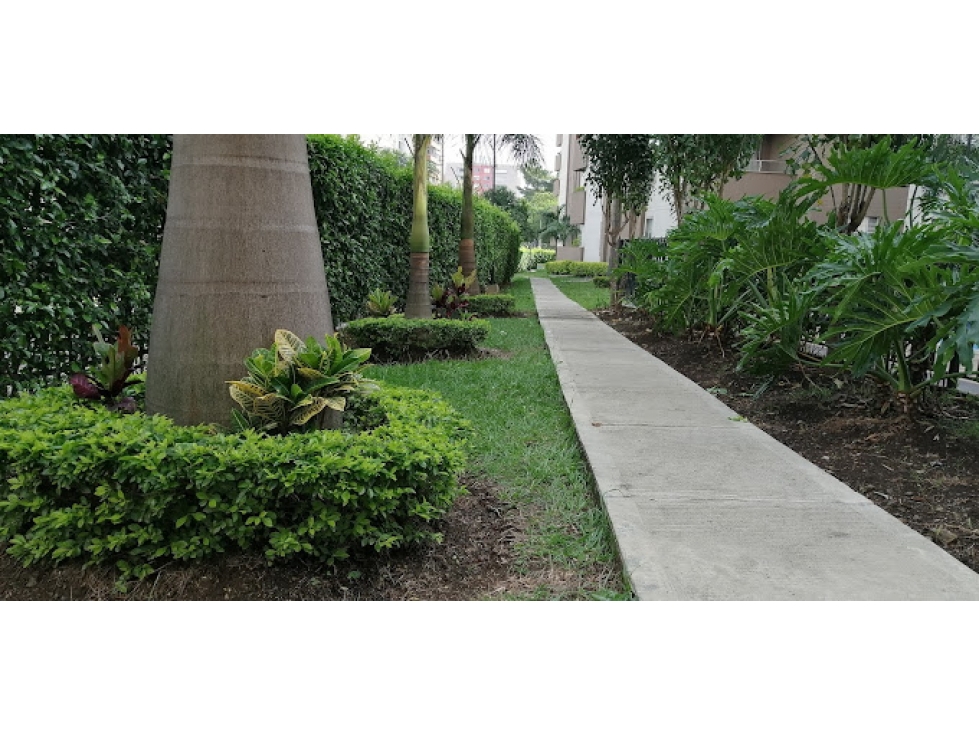 ZAGUAN DE LAS FLORES FRESCURA TRANQUILIDAD ARMONÍA FLORA 2026 — foto 3