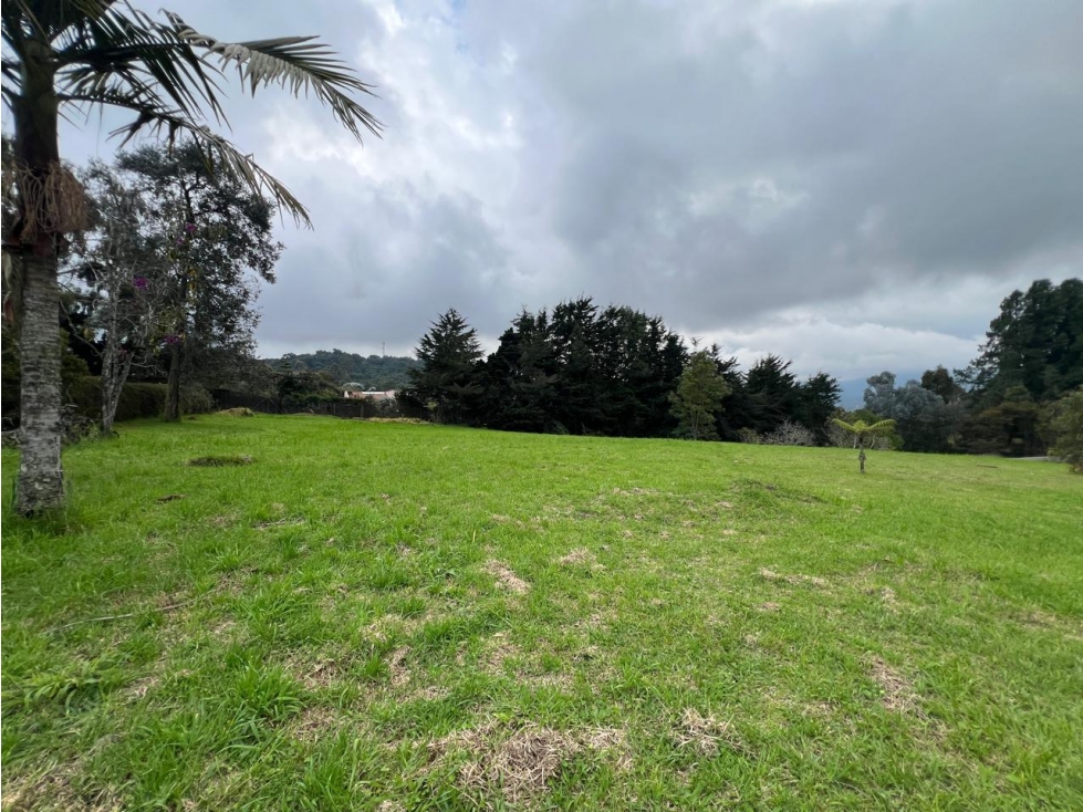 Venta de lote en el Alto de las palmas — foto 2