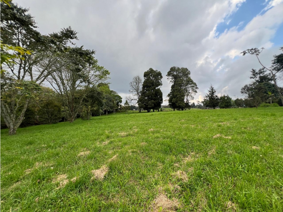 Venta de lote en el Alto de las palmas — foto 4