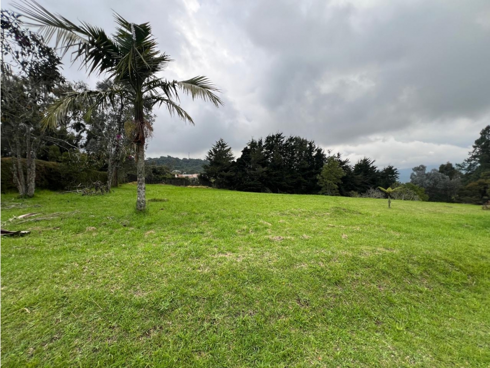 Venta de lote en el Alto de las palmas — foto 6