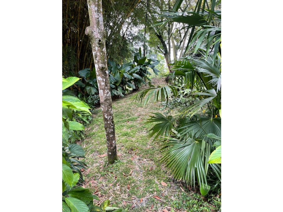 venta de casa campestre en Envigado, Montessori — foto 4