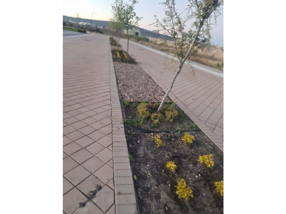 Terreno en Venta en Lomas del Campanario - 280 m2, La tranquilidad que mereces - 6