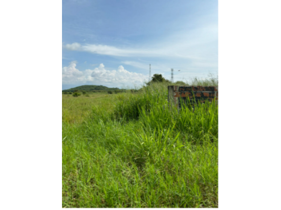 LOTE EN NAVARRO DIAGONAL CLUB CAÑASGORDAS 200,000 m2. — foto 4