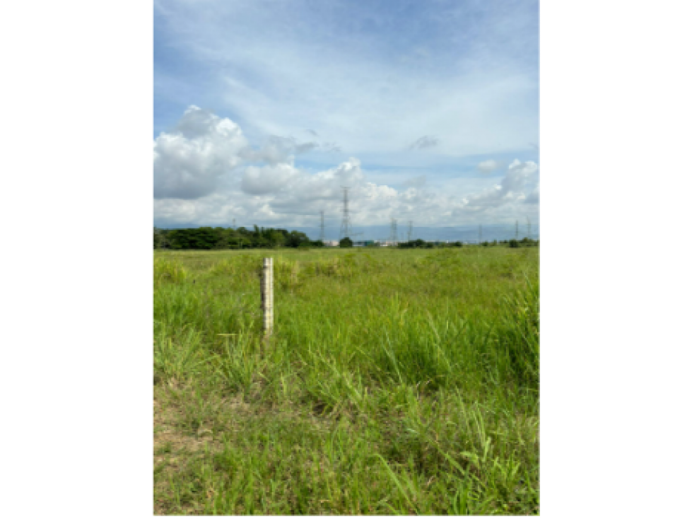LOTE EN NAVARRO DIAGONAL CLUB CAÑASGORDAS 200,000 m2. — foto 6