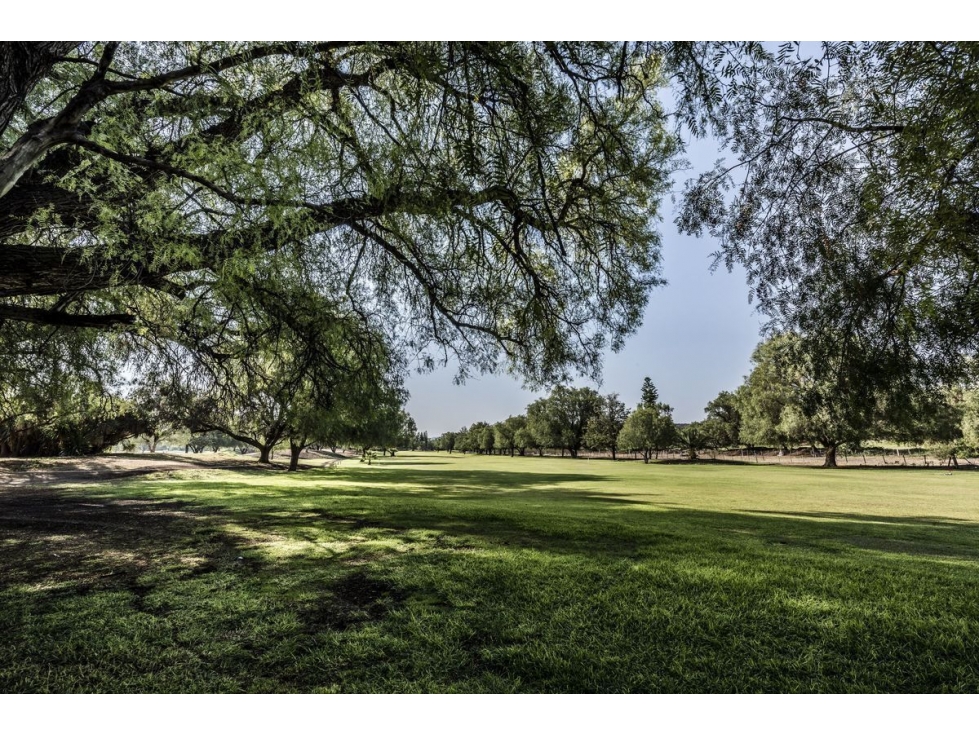 Venta de Terrenos en Balvanera Country Club y Golf desde 370 m2 hasta 1,000 m2 - 5