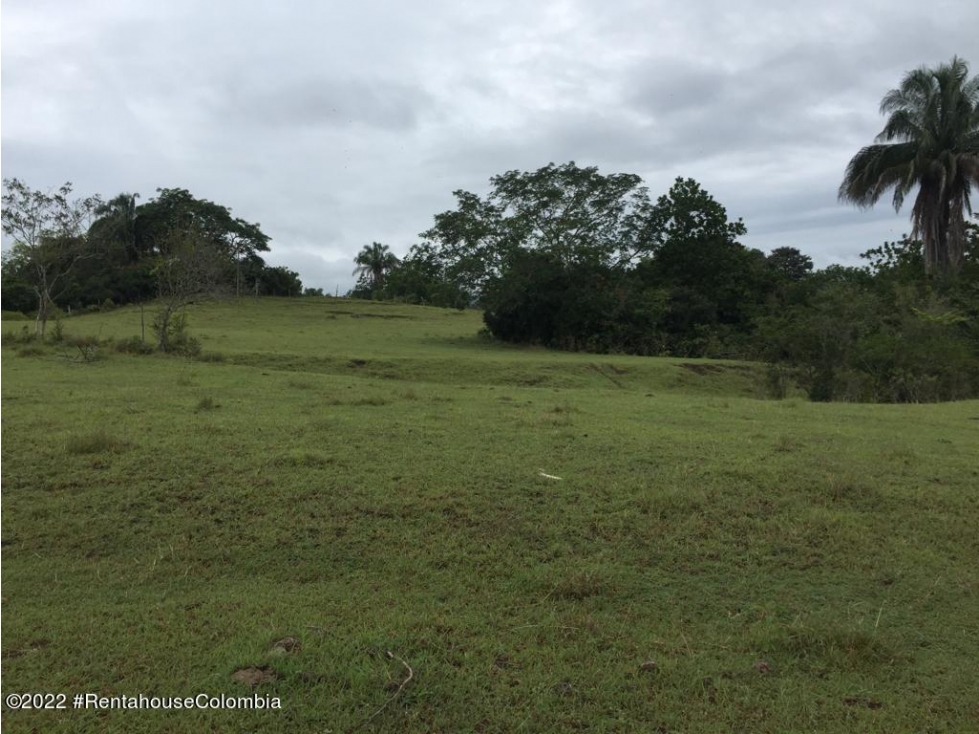 Lote en Carmen de Apicala (Tolima) RAH CO: 26-477 - 1