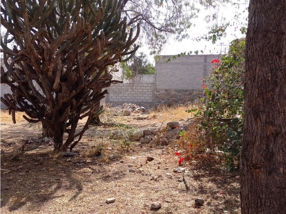Se Vende Terreno en Pedro Escobedo de 1,006 m2, de OPORTUNIDAD. - 6