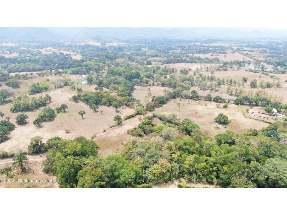 Lote en Carmen de Apicala (Tolima) RAH CO: 26-62 - 4