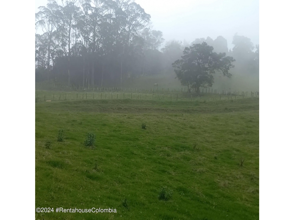 Lote en Bojaca (Cundinamarca) RAH CO: 25-891 - 4