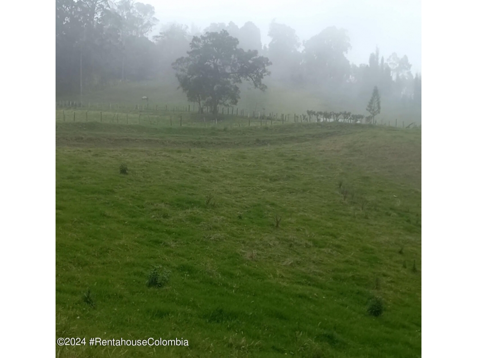 Lote en Bojaca (Cundinamarca) RAH CO: 25-891 - 6
