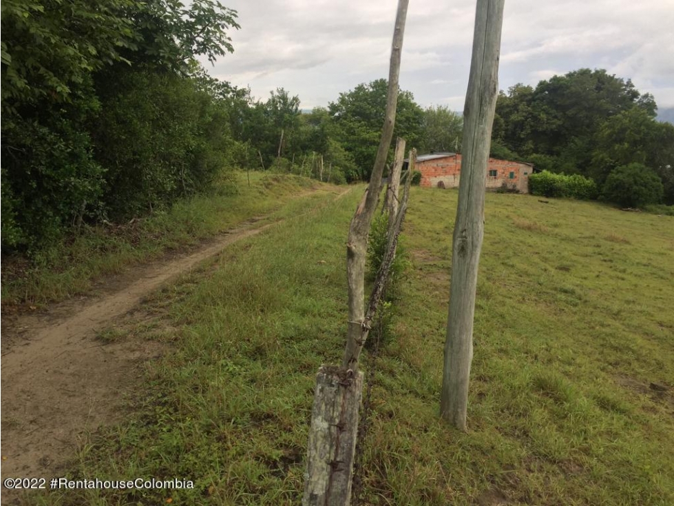 Lote en Carmen de Apicala (Tolima) RAH CO: 26-477 - 2