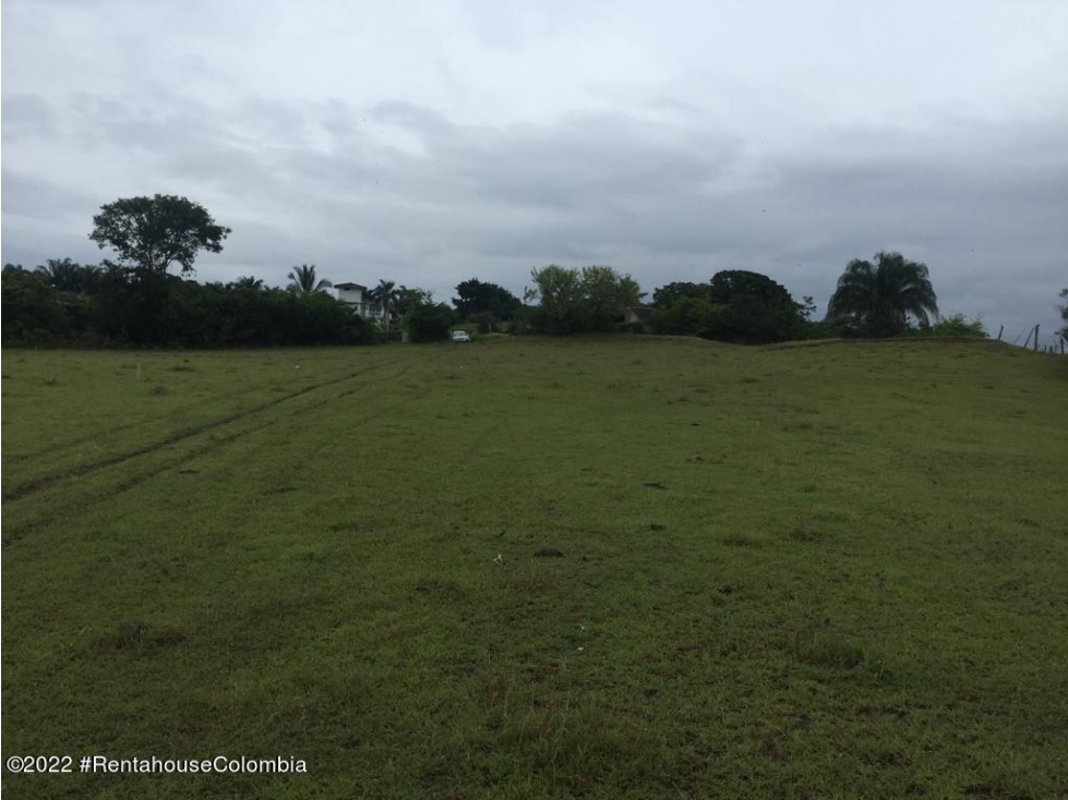 Lote en Carmen de Apicala (Tolima) RAH CO: 26-477 - 3
