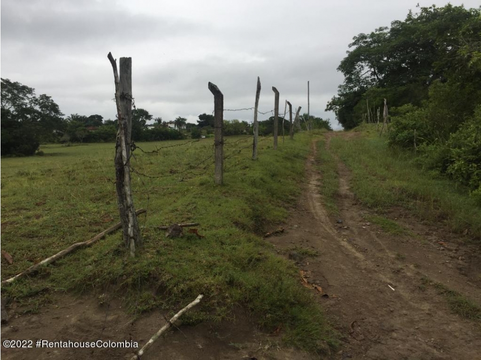 Lote en Carmen de Apicala (Tolima) RAH CO: 26-477 - 4