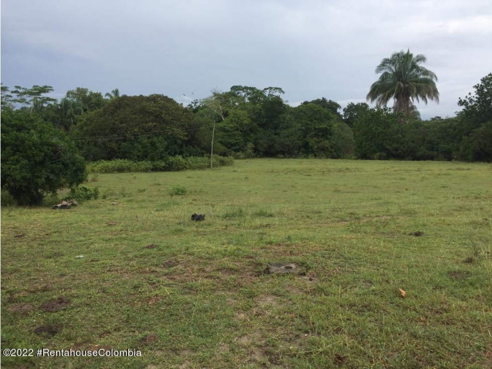 Lote en Carmen de Apicala (Tolima) RAH CO: 26-477 - 5
