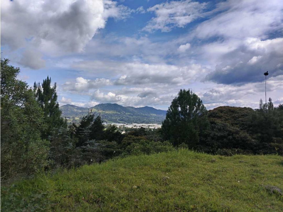 Venta Lote en La Ceja (MM)