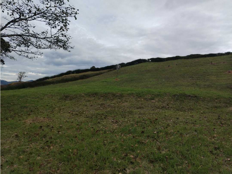 Cesión de Derechos Lote La Ceja (AV)