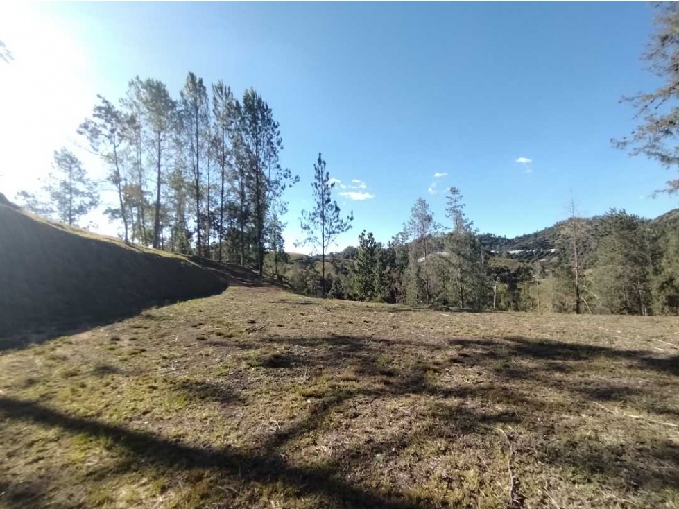 Venta Lote El Retiro Hacienda Flandes