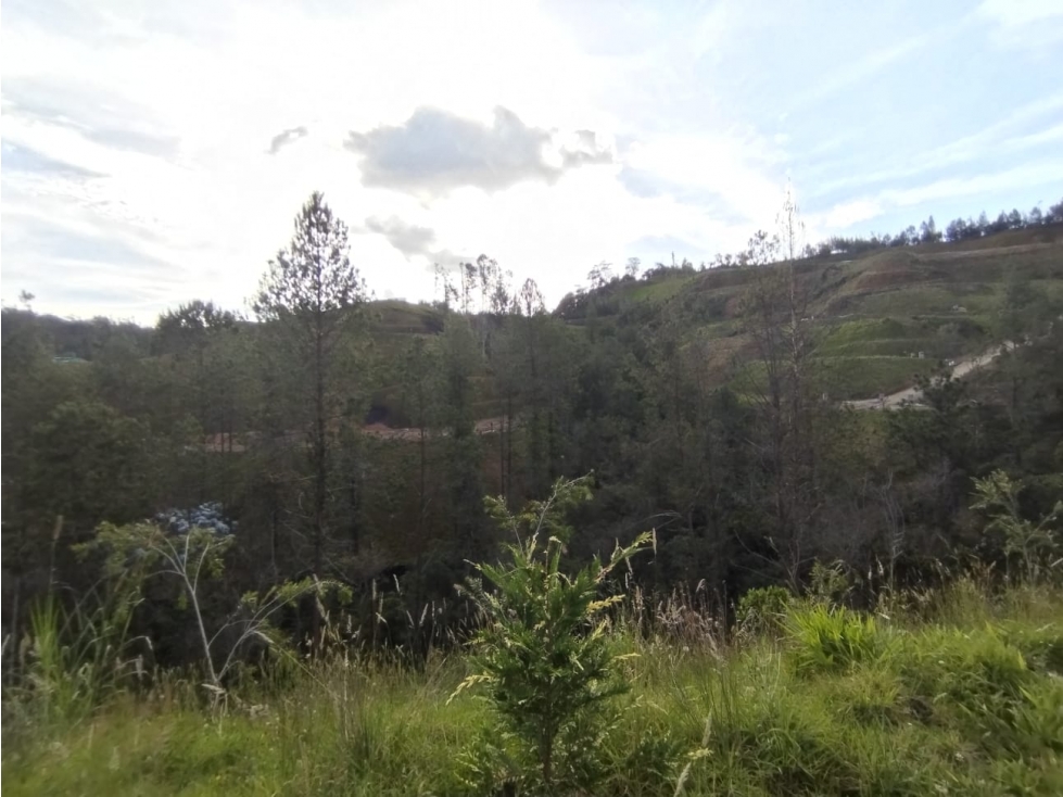 Lote campestre en senderos de San José en La Ceja — foto 2