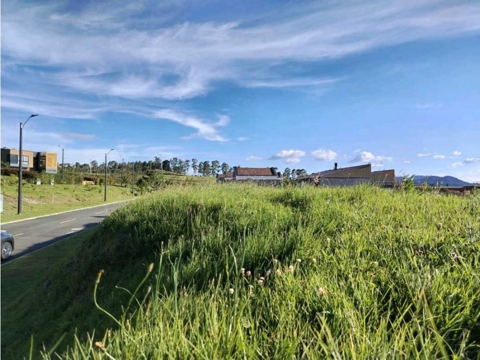 Venta de Lote sector La Acuarela — foto 6