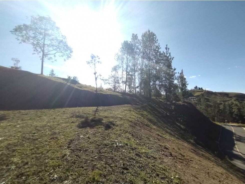 Venta Lote El Retiro Hacienda Flandes — foto 5