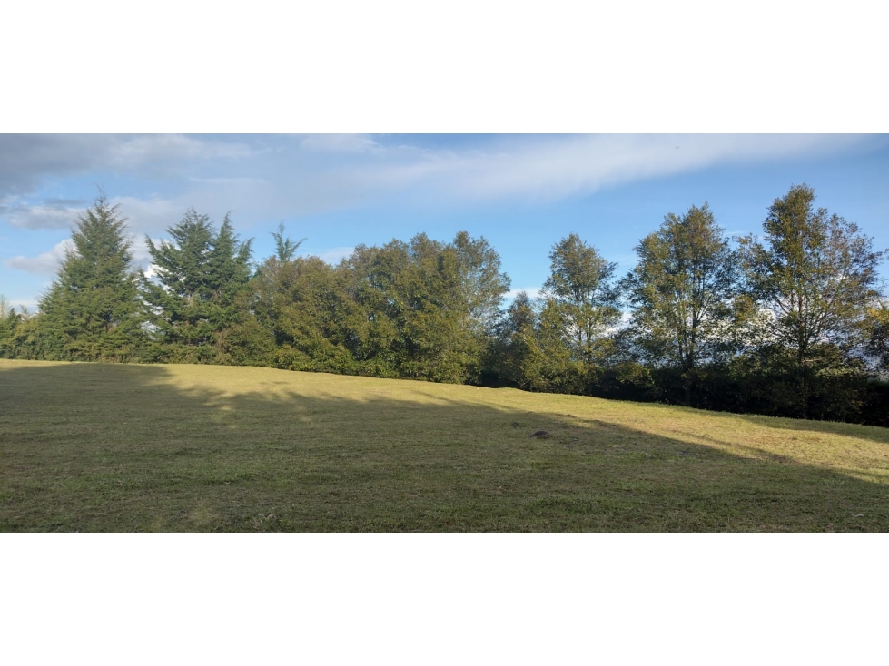 Lote en venta de 9.972 m² en El Tablazo, Rionegro — foto 3