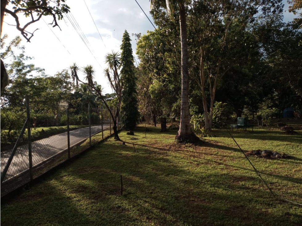Inversión Excepcional en Chiriquí: Finca con Infraestructura Completa - 1