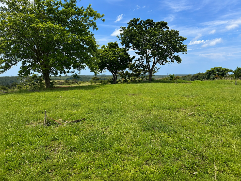 Terreno de casi 10 Hectáreas en Llano Bonito, Río Hato, Coclé - 1