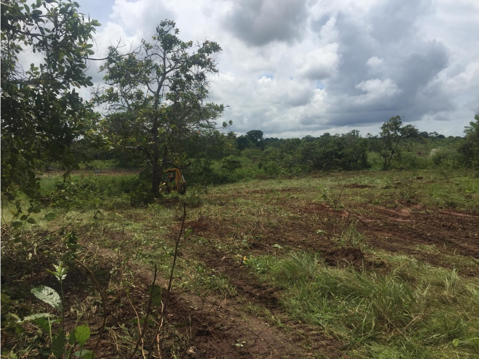 Venta Exclusiva: 14725 m² para Crear un Desarrollo que Deje Huella* - 1