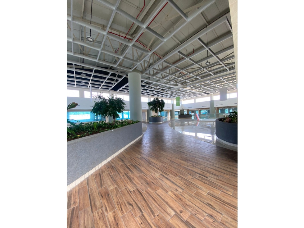 Locales para Restaurantes con Terraza en Paseo Albrook - 04 - 1