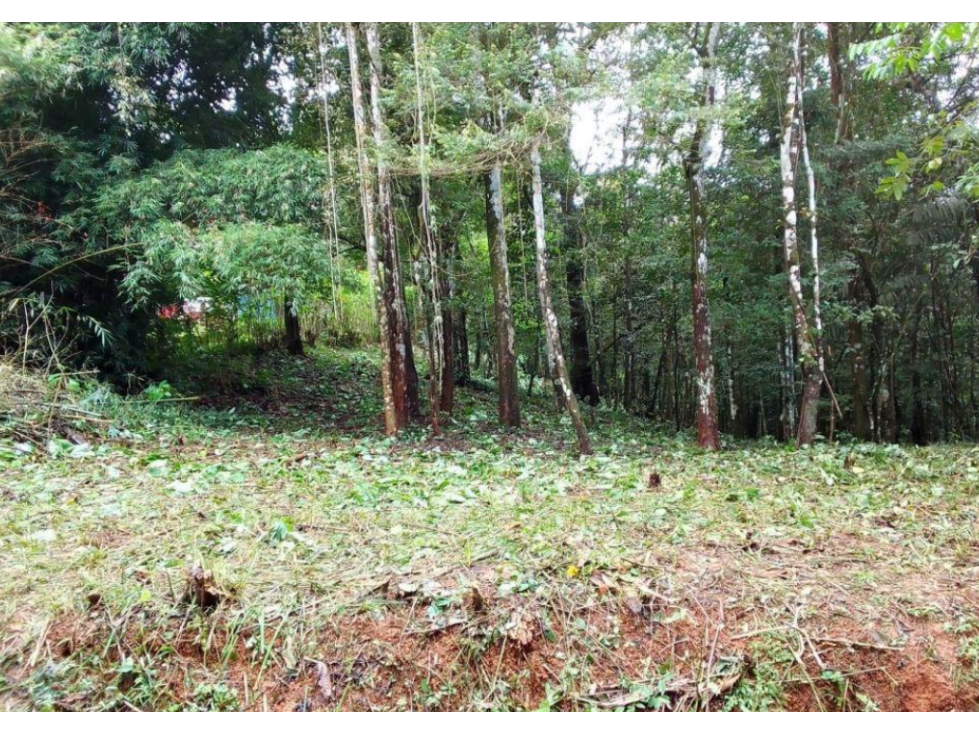 BP Se Vende Casa de Montaña en Cerro Azul sobre la Vía Principal