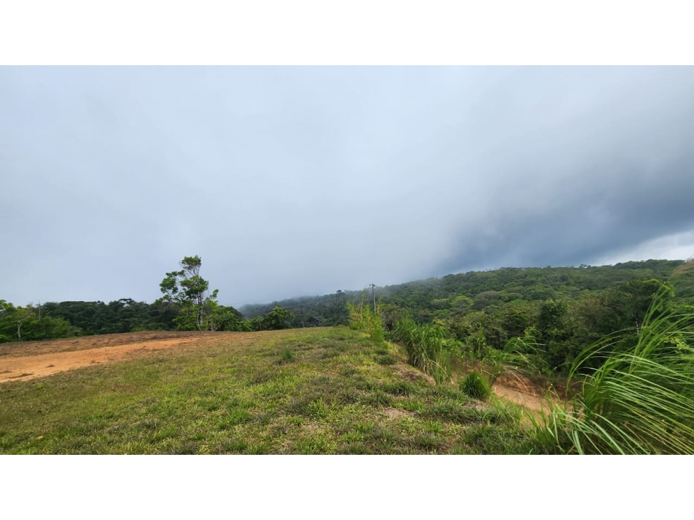 Oportunidad Ecológica en Cerro Azul: 55 Hectáreas de Bosque con Agua