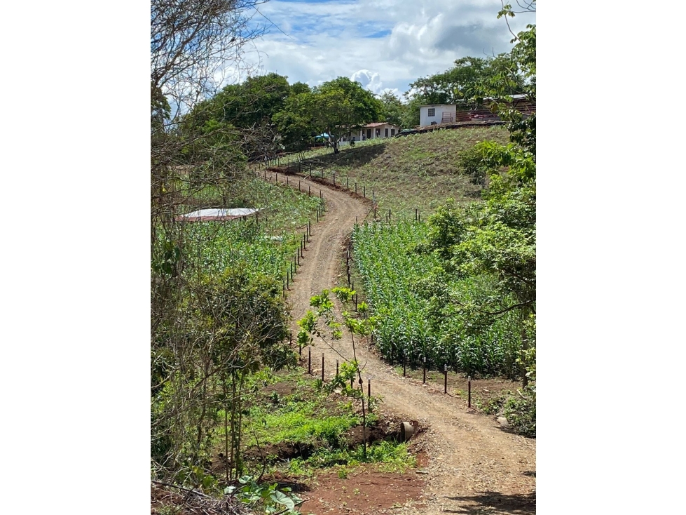 Finca en Venta en Capira, Panamá Oeste | 17.31 Hectáreas con Agua Viva