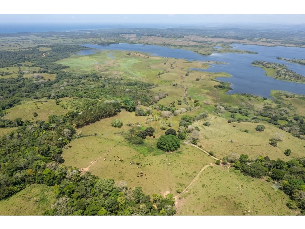 Venta de Finca de 424,667.20 m2 con Frente al Lago Gatún, Chorrera - 1