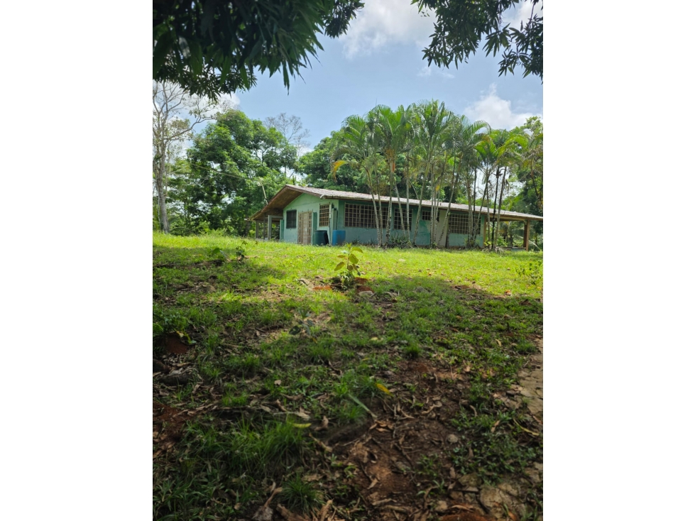 Finca Campestre y Agropecuaria en Venta en La Chorrera | 12,918 m2 - 1