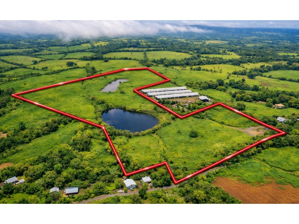 Finca Productiva con Lagos en Mendoza, La Chorrera | 216,160 m2 - 1
