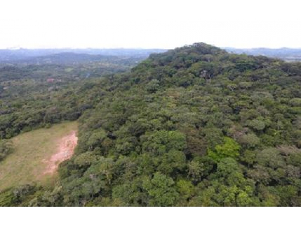 Gran Finca con Corriente de Agua en Capira 6.7 hectáreas negociables