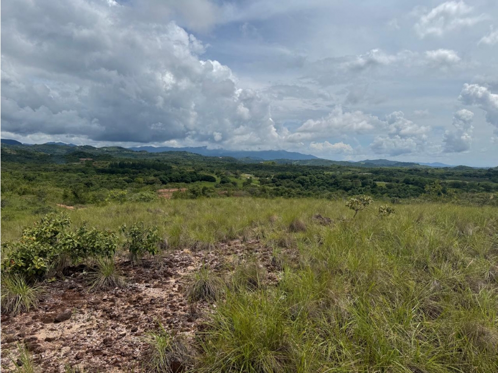 Industrial Project Land for Sale - 1