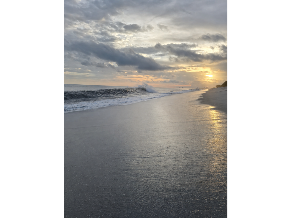 Invierte y Genera Ingresos Frente al Mar | The Tides, Playa Caracol - 1