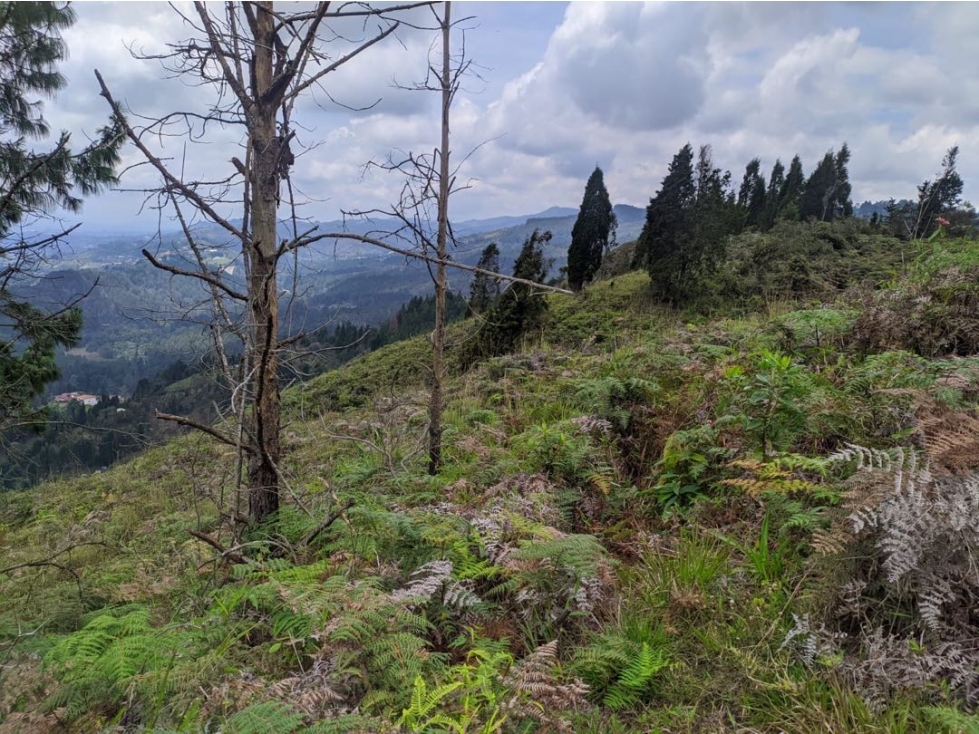 Venta lote en Guarne