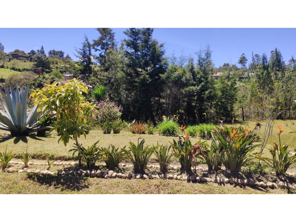 Venta de finca en Guarne — foto 4