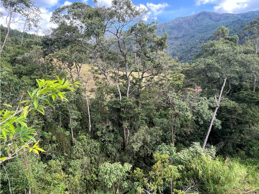 Venta lote Envigado El Salado — foto 5