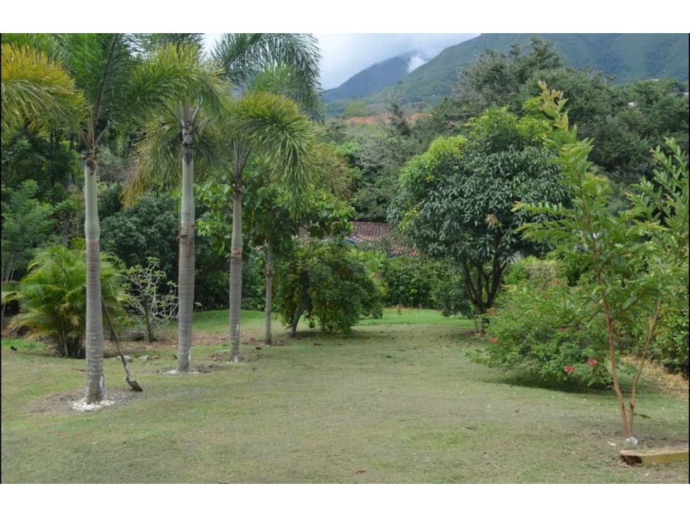 Venta finca en San Jerónimo — foto 5