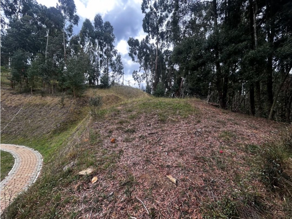 Venta lote Envigado Alto de Palmas - 2
